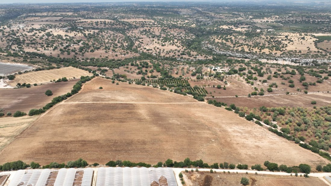 Land in Noto, Sicily, Italy 1 - 12119492