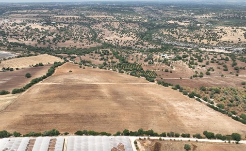 Land in Noto, Sizilien, Italien 1