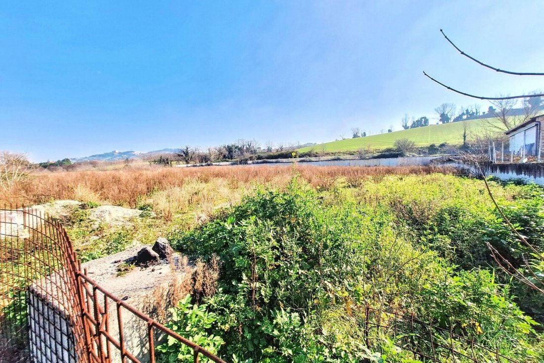 Land in Montelupone, Marche, Italy 5 - 15459946