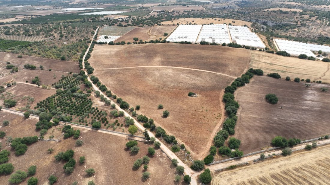 Land in Noto, Sicily, Italy 2 - 12119492