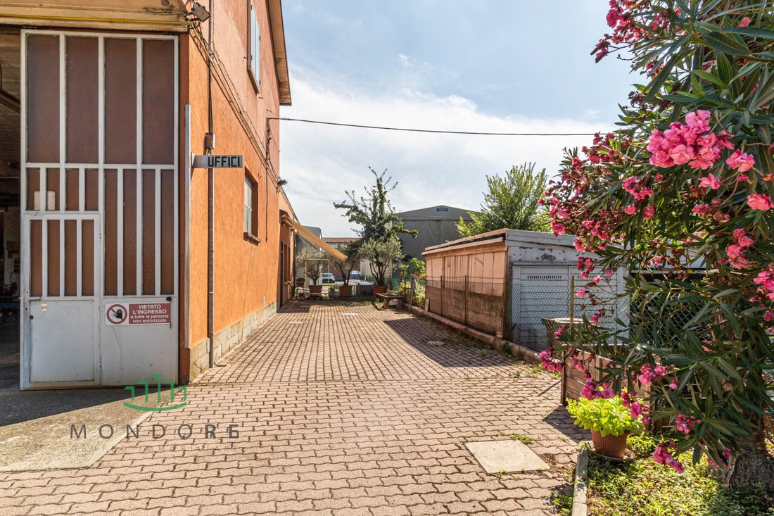 The Palazzo of Possibilities: A Legacy Awaits in Emilia-Romagna’s Golden Heart
