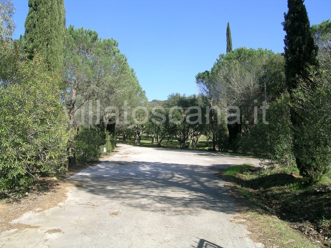 House in Tirli-Vetulonia-Buriano, Castiglione della Pescaia, Tuscany 4 - 12118594