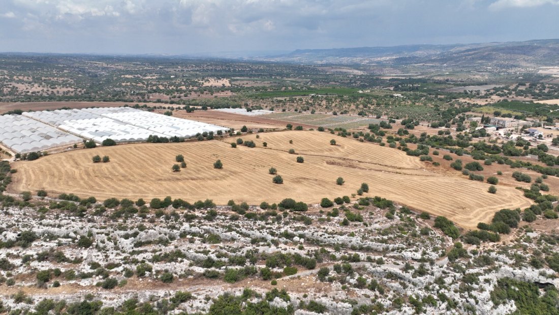Land in Noto, Sicily, Italy 4 - 12119493