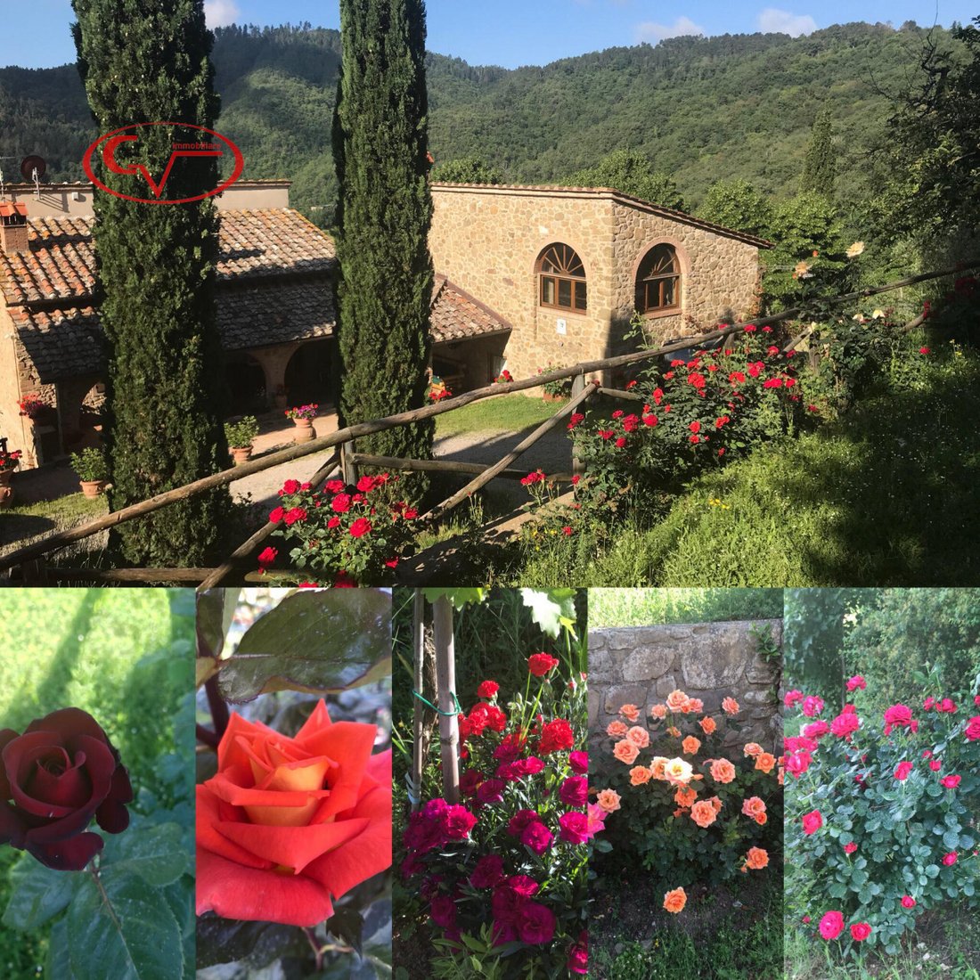 Villa in Gaiole in Chianti, Tuscany, Italy 3 - 15153094