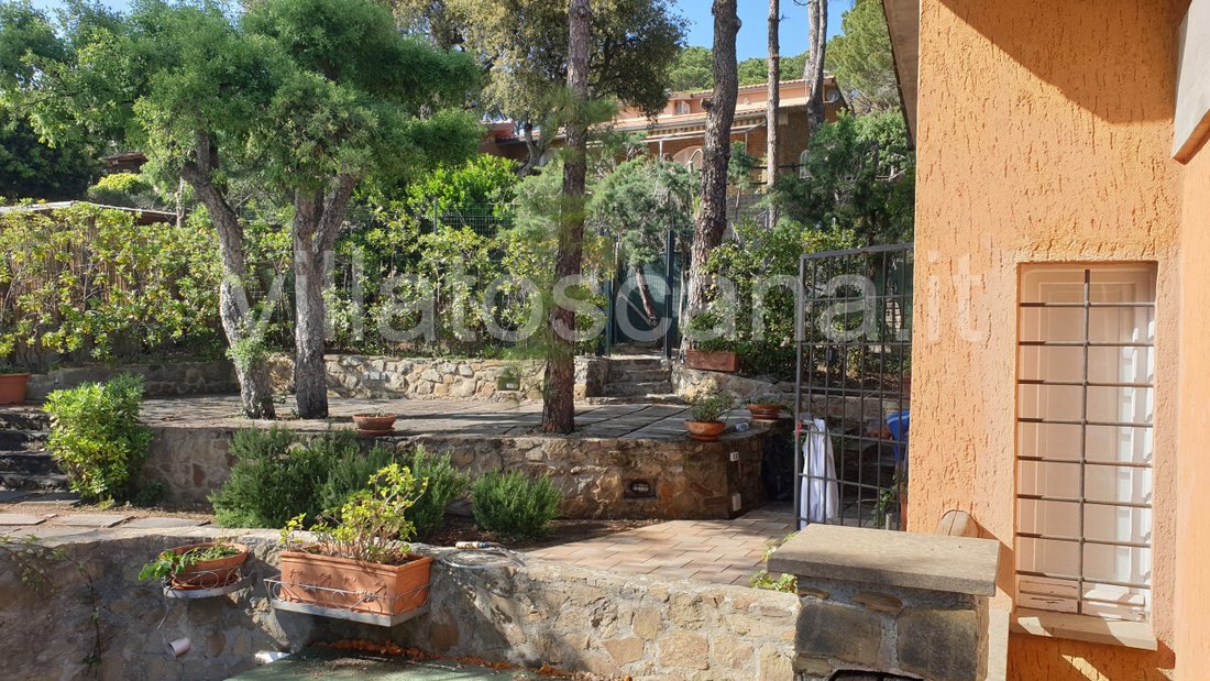 House in Castle of Castiglione, Castiglione della Pescaia, Tuscany 5 - 15506102