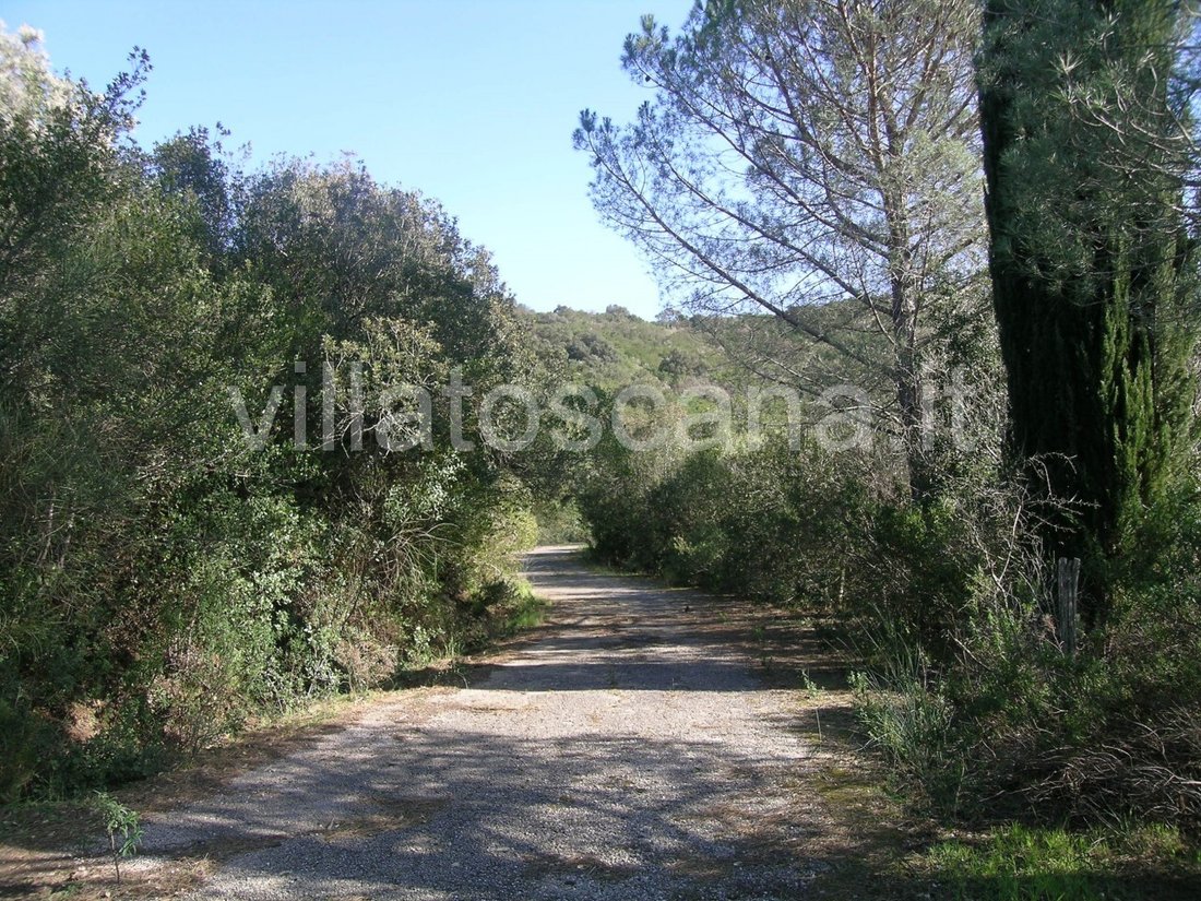 House in Tirli-Vetulonia-Buriano, Castiglione della Pescaia, Tuscany 5 - 12118594