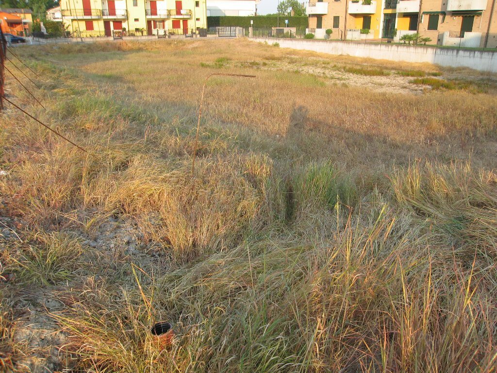 Land in Piove di Sacco, Veneto, Italy 2 - 12277097