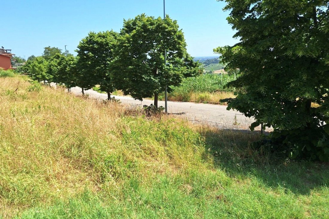 Land in Bertinoro, Emilia-Romagna, Italy 4 - 15818545