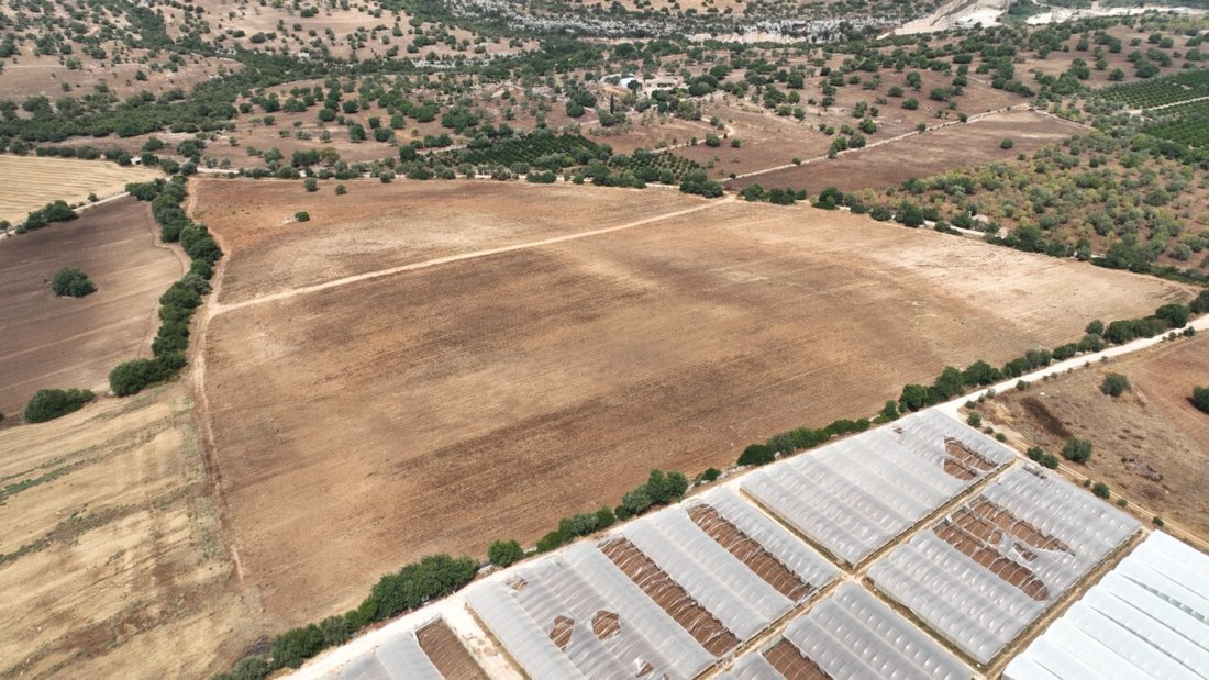 Land in Noto, Sicily, Italy 5 - 12119492