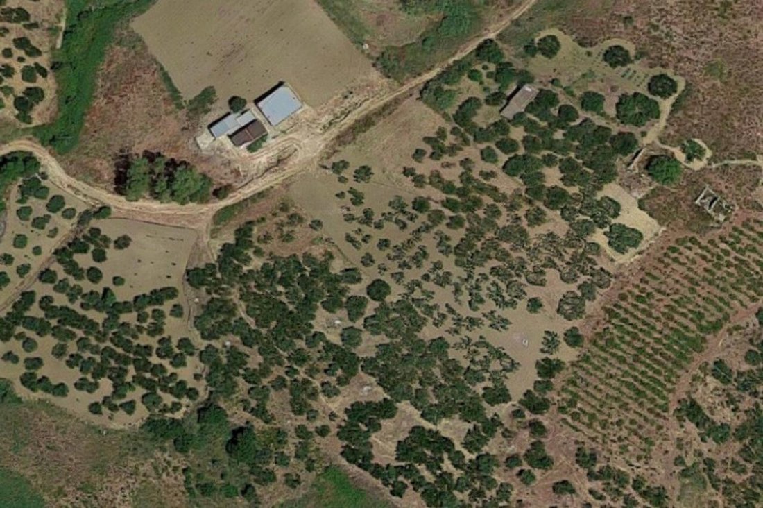 Land in Salemi, Sicily, Italy 4 - 15460022