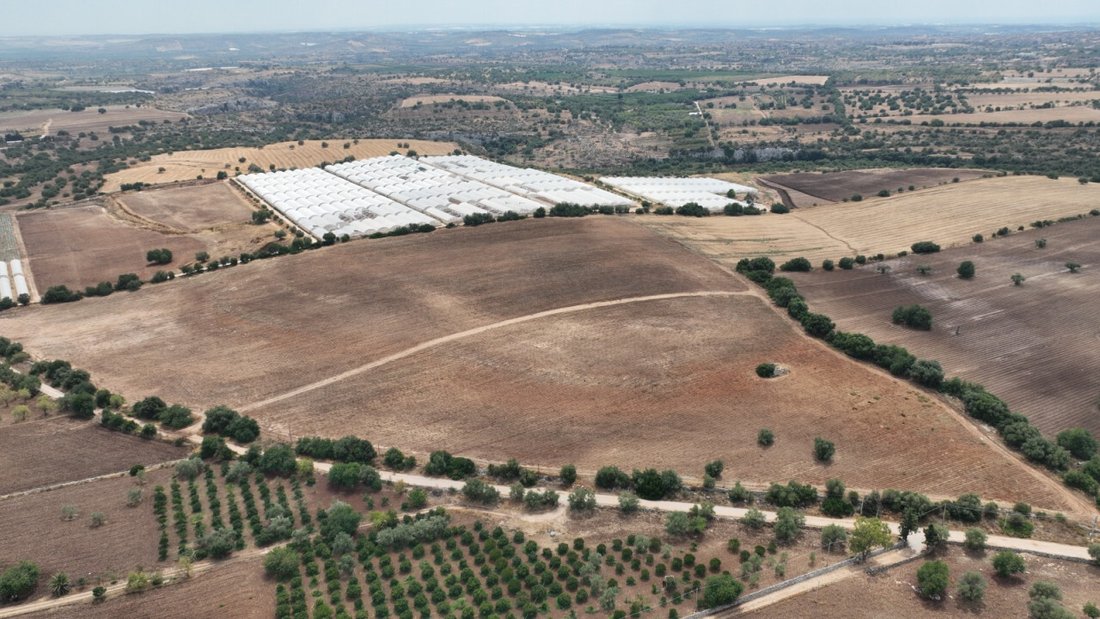Land in Noto, Sicily, Italy 4 - 12119492