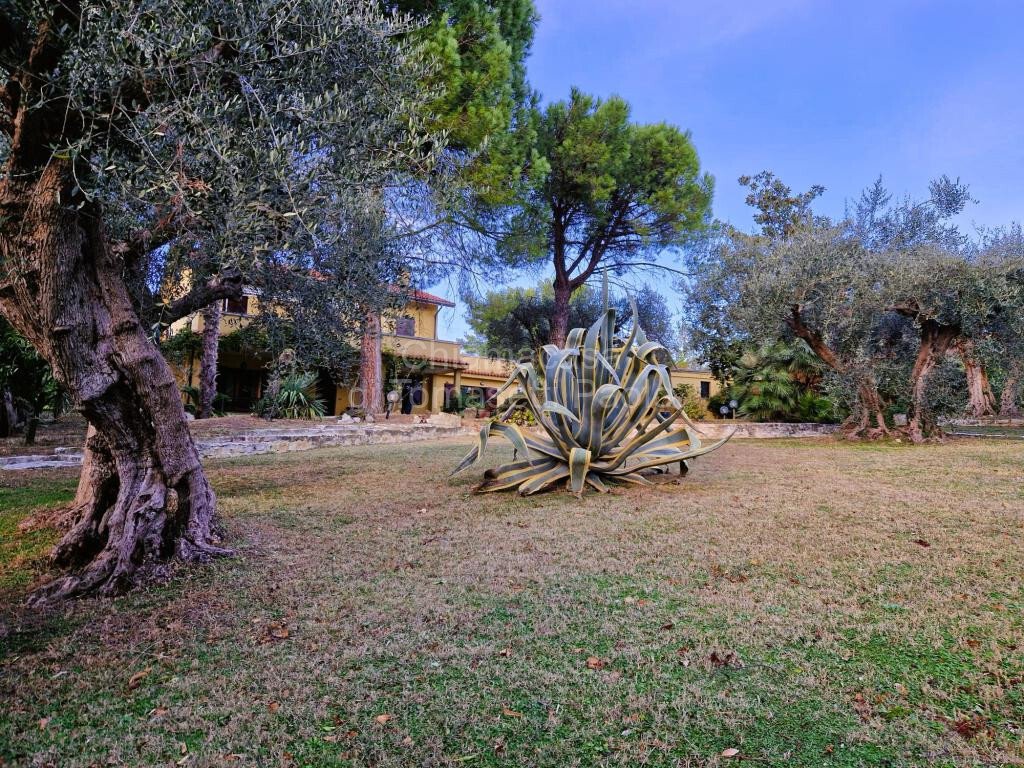 Villa in Fossosejore - Belgatto, Fano, Marche 5 - 13525063