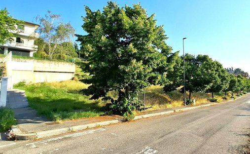 Land in Bertinoro, Emilia-Romagna, Italy 1