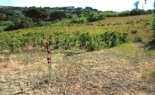 Land in Salemi, Sicily, Italy 1