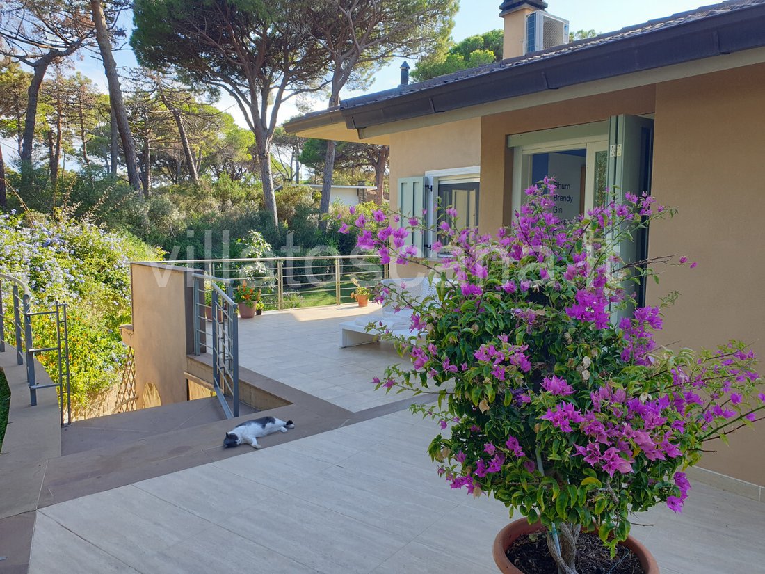 Villa in Rocchette, Castiglione della Pescaia, Tuscany 5 - 15482814