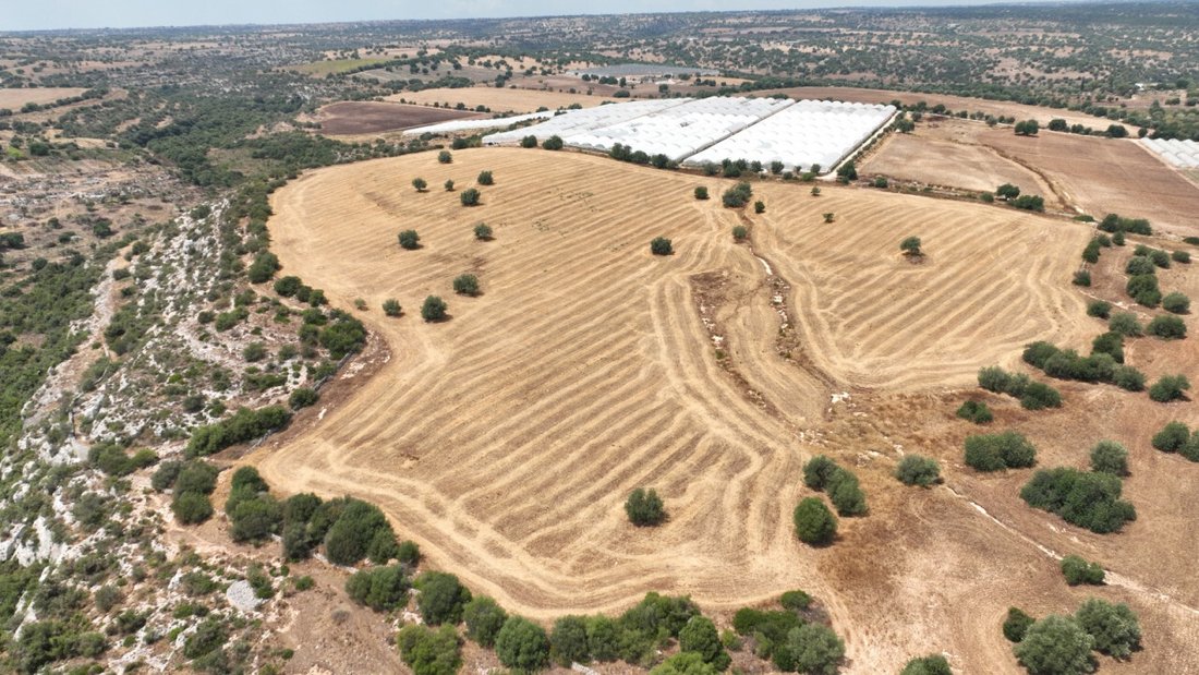 Land in Noto, Sicily, Italy 1 - 12119493