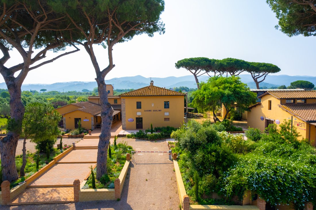 Country House in Castagneto Carducci, Tuscany, Italy 1 - 16021513