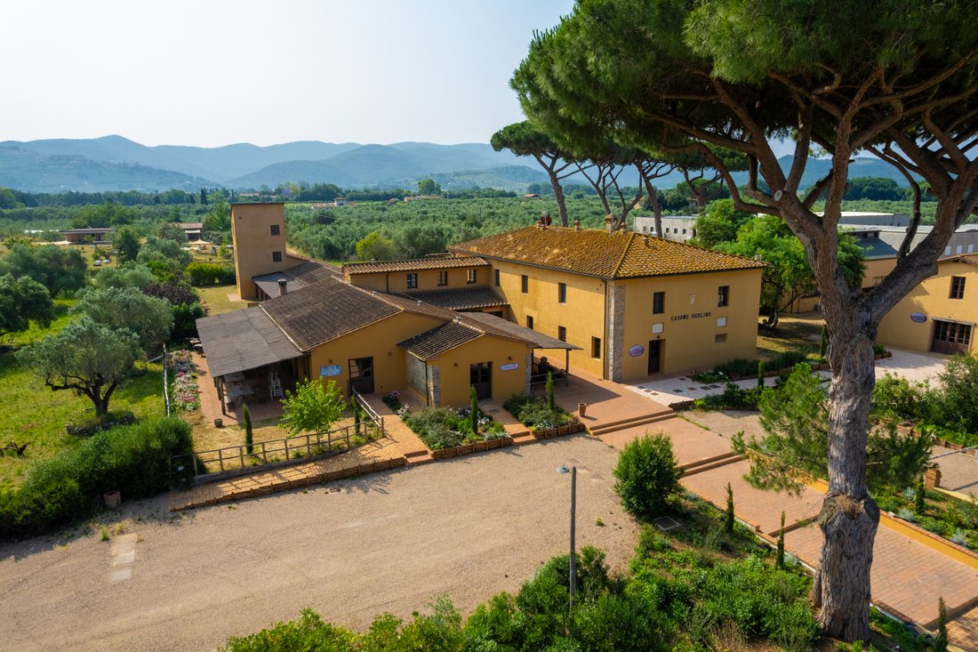 Country House in Castagneto Carducci, Tuscany, Italy 4 - 16021513