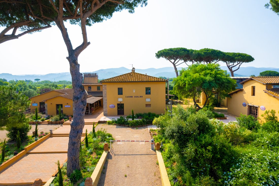 Country House in Castagneto Carducci, Tuscany, Italy 2 - 16021513