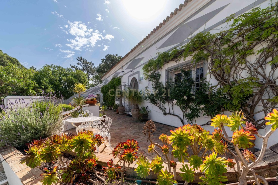Villa in Luz de Tavira e Santo Estevao, Algarve, Portugal 5 - 16025159