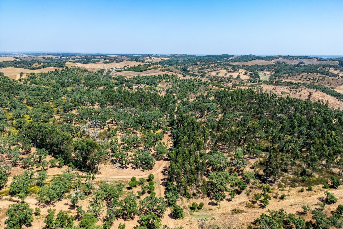 Land in Cercal, Setubal, Portugal 5 - 16026308