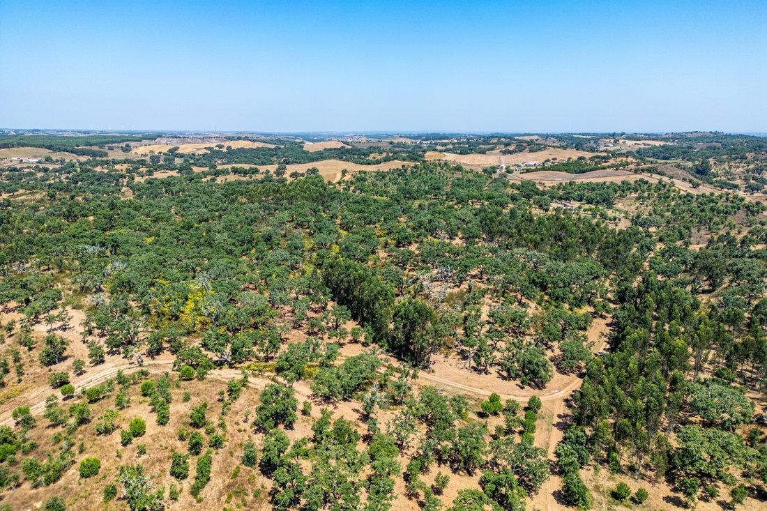 Land in Cercal, Setubal, Portugal 5 - 16026308