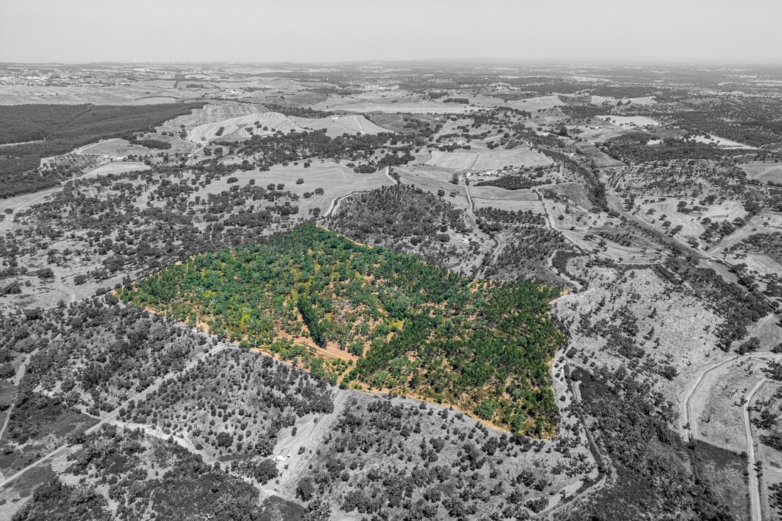 Land in Cercal, Setubal, Portugal 3 - 16026308