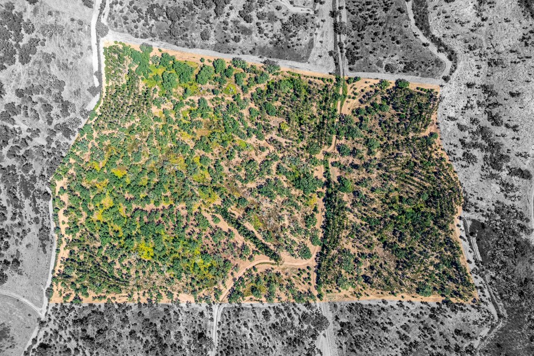 Land in Cercal, Setubal, Portugal 1 - 16026308