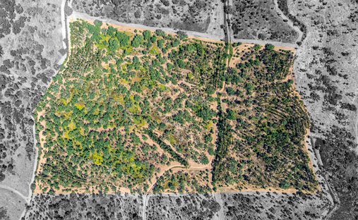 Land in Cercal, Setubal, Portugal 1