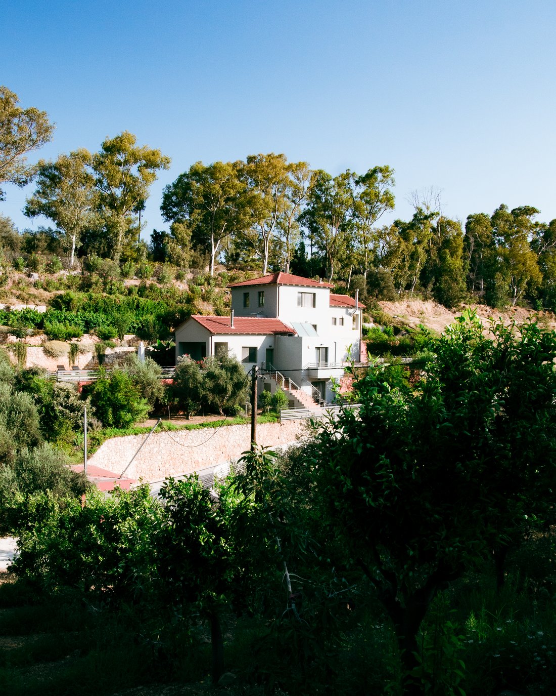 Finca en Crete, Grecia 2 - 16026391
