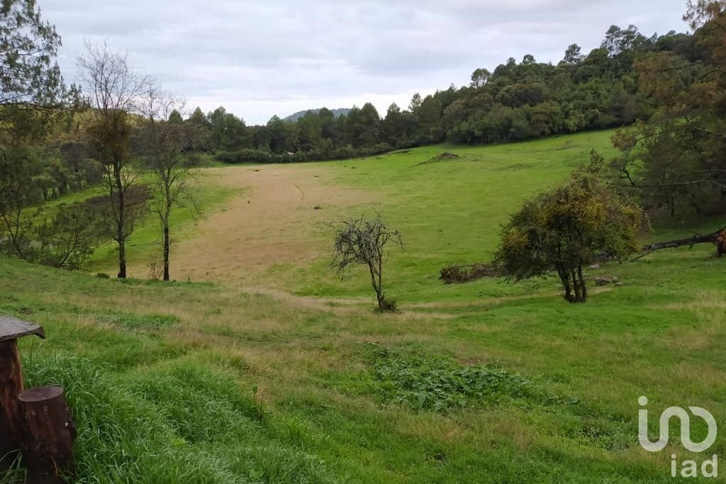 Terrain en Valle de Bravo, État de Mexico, Mexique 4 - 16026890