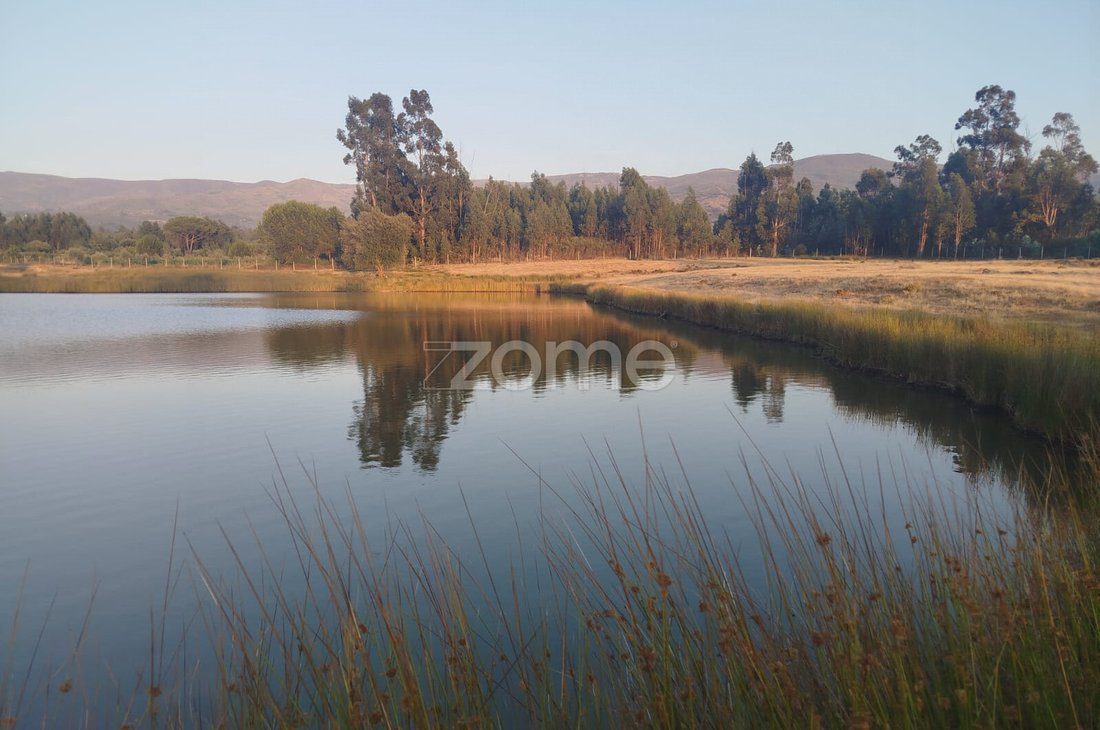 Terreno en Seia, Sao Romao e Lapa dos Dinheiros, Distrito de Guarda, Portugal 1 - 16029001