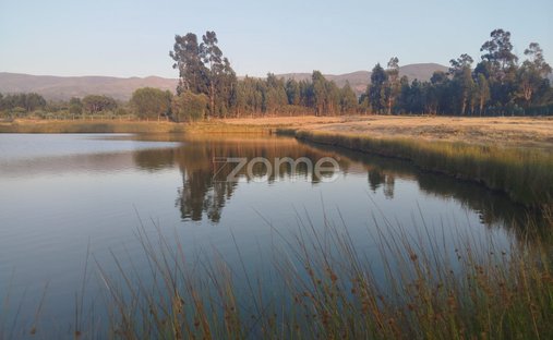 Land in Seia, Sao Romao e Lapa dos Dinheiros, Distrikt Guarda, Portugal 1
