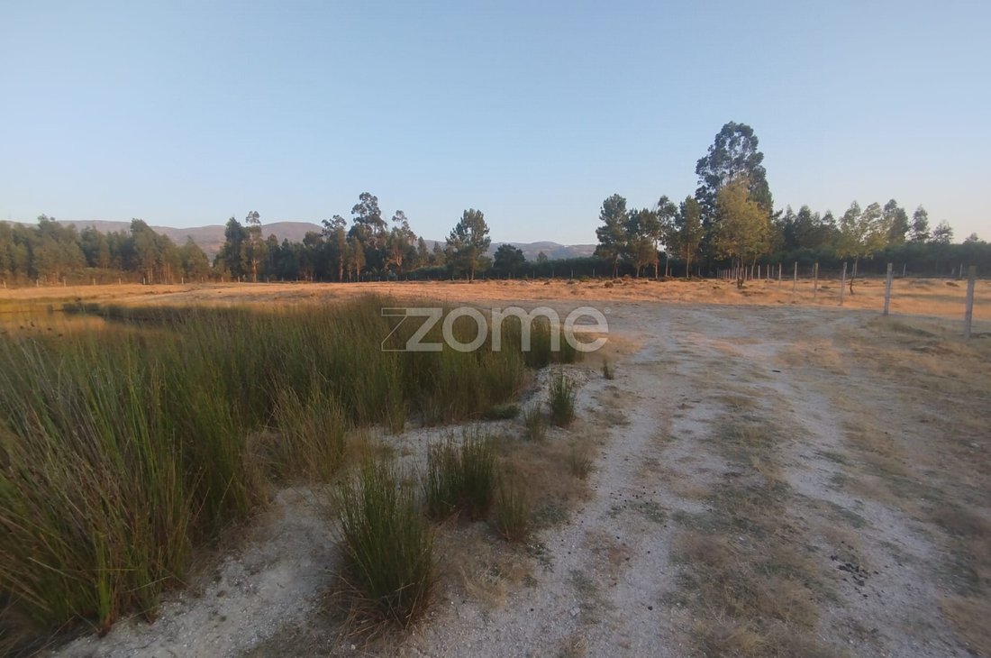 Land in Seia, Sao Romao e Lapa dos Dinheiros, Guarda District, Portugal 1 - 16029001