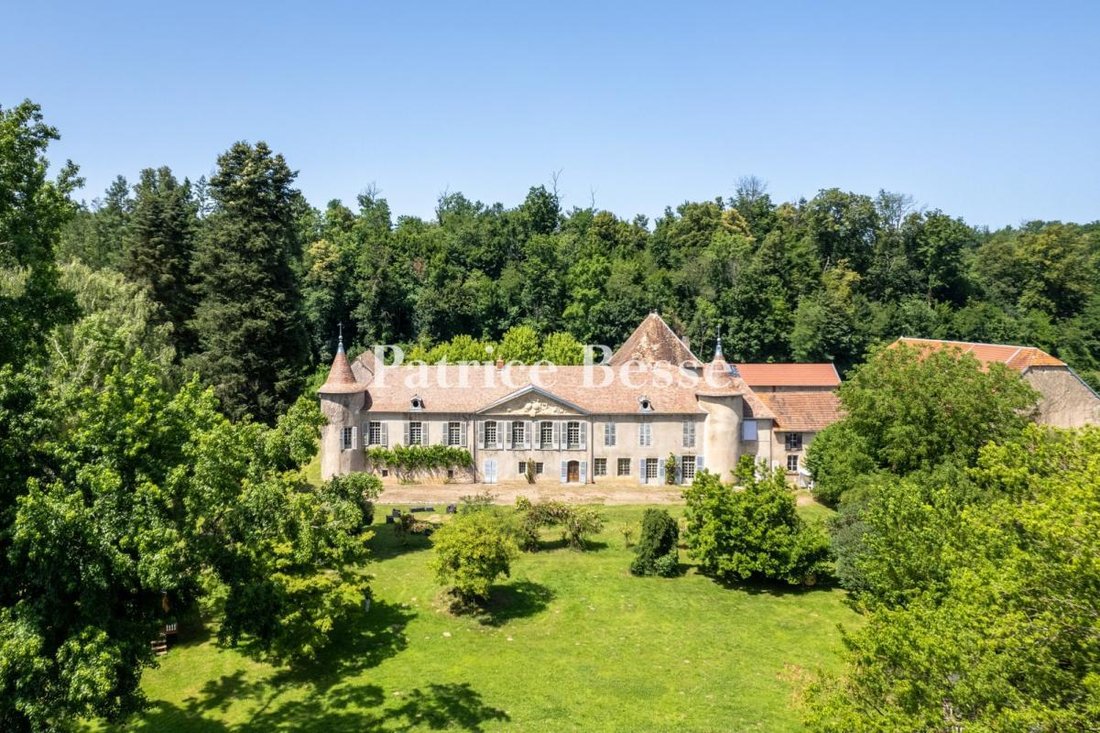 Whispers of the Ognon: A 16th-Century Château’s Timeless Embrace