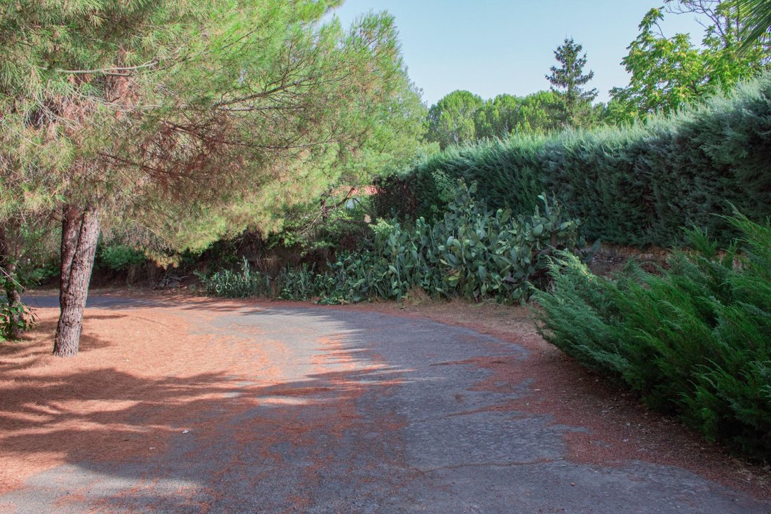 Finca in Plasencia, Extremadura, Spain 5 - 16028363