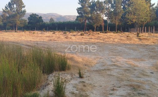 Land in Seia, Sao Romao e Lapa dos Dinheiros, Distrikt Guarda, Portugal 1