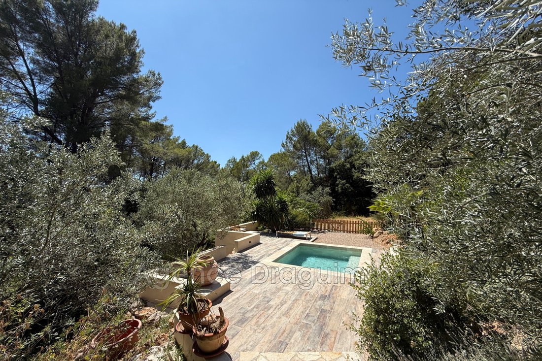 Villa in Les Selves-Le Seiran, Draguignan, France 2 - 16027011