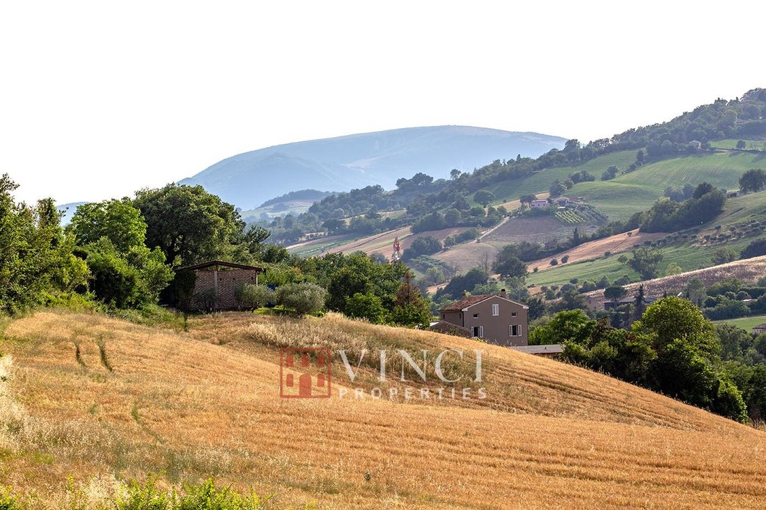Country House in Sant'Angelo in Pontano, Marche, Italy 1 - 16026768