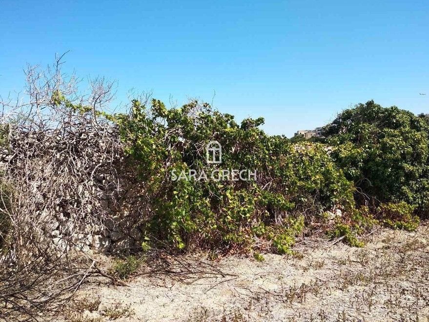 House in Imtarfa, Malta 4 - 16029646