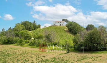 Country House in Monte San Martino, Marche, Italy 1