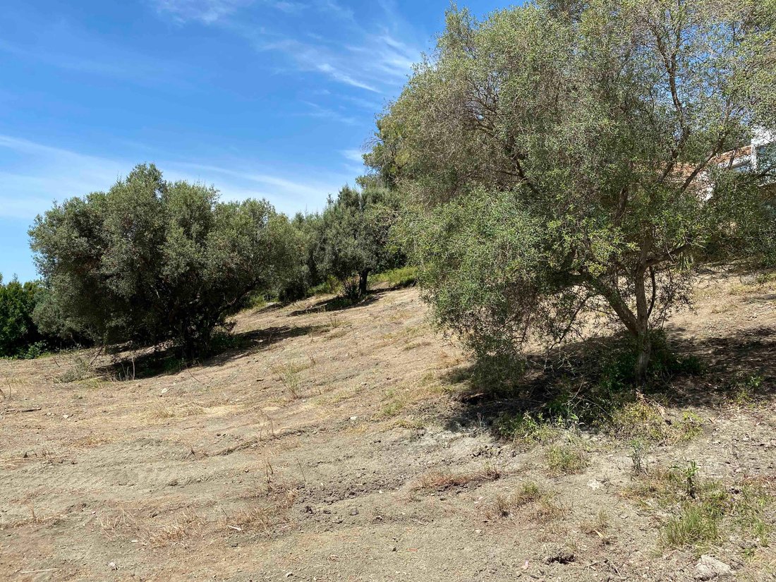 Land in Marbella, Andalusia, Spain 4 - 16030968