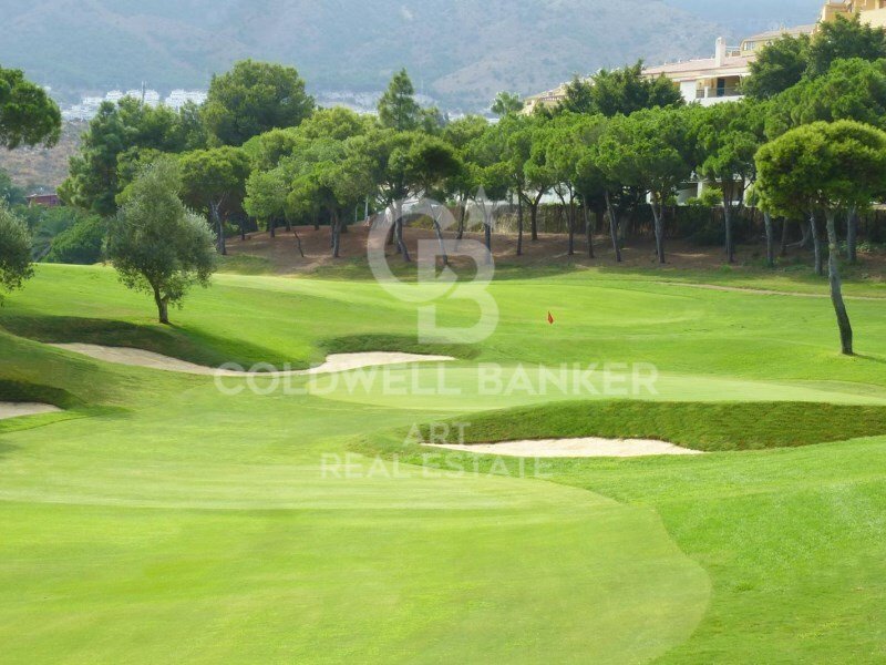 Apartment in Benalmadena, Andalusia, Spain 4 - 16030904