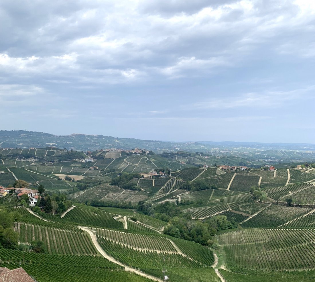 Land in La Morra, Piedmont, Italy 2 - 16033338