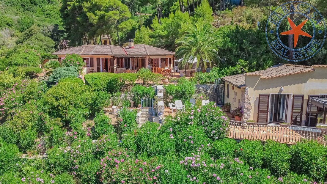Villa in Capoliveri, Tuscany, Italy 5 - 14666977