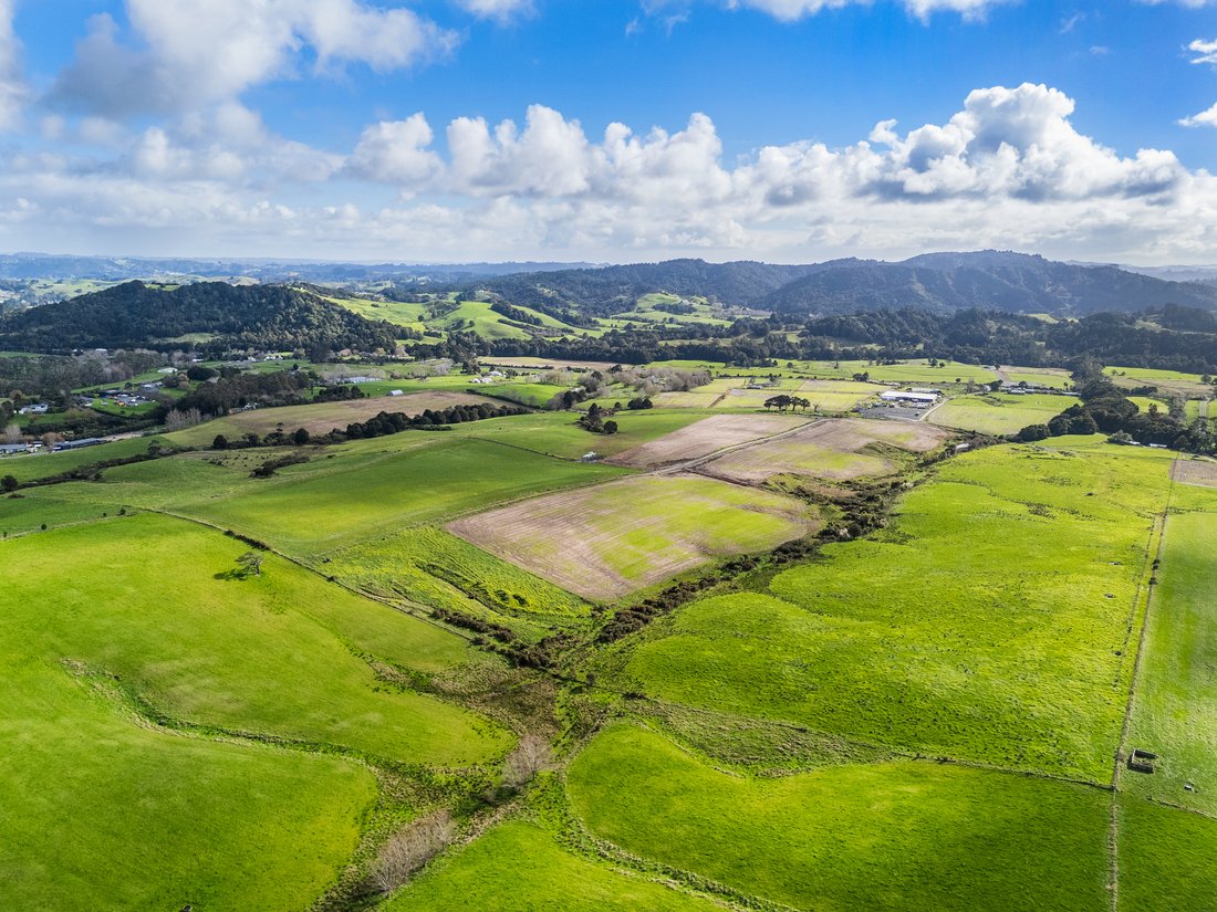 Farm Ranch in Waitoki, Auckland, New Zealand 2 - 16031306