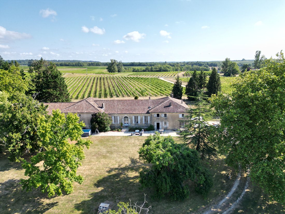 Château des Rêves Éternels – A Vineyard Crown in Aquitaine’s Golden Hills