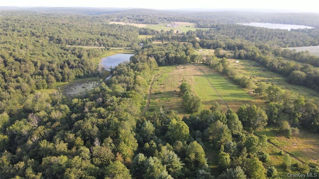 Land in Monticello, New York, United States 5 - 16035414