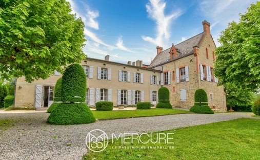 Magnificent Renaissance Style Château With 9ha Land, 2 Gîtes And Pool, 30 Minutes From Toulouse