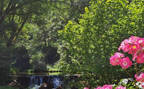 Castle for Sale in Saint-Pierre-de-Trivisy, Occitanie, France